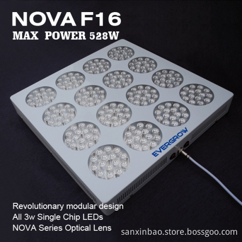 Evergrow Factory Hydroponic Growing Systems CE RoHS 3 Years Warranty Full Spectrum LED Grow Light